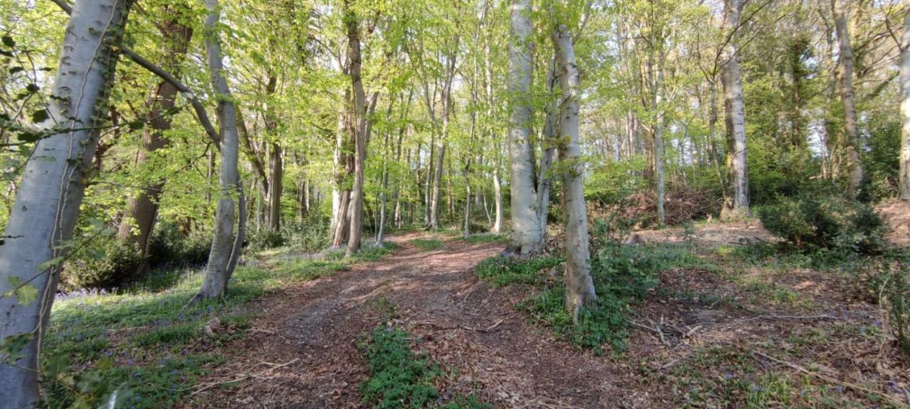 Gites 4,6 Personnes Fecamp Etretat Colleville Luaran gambar