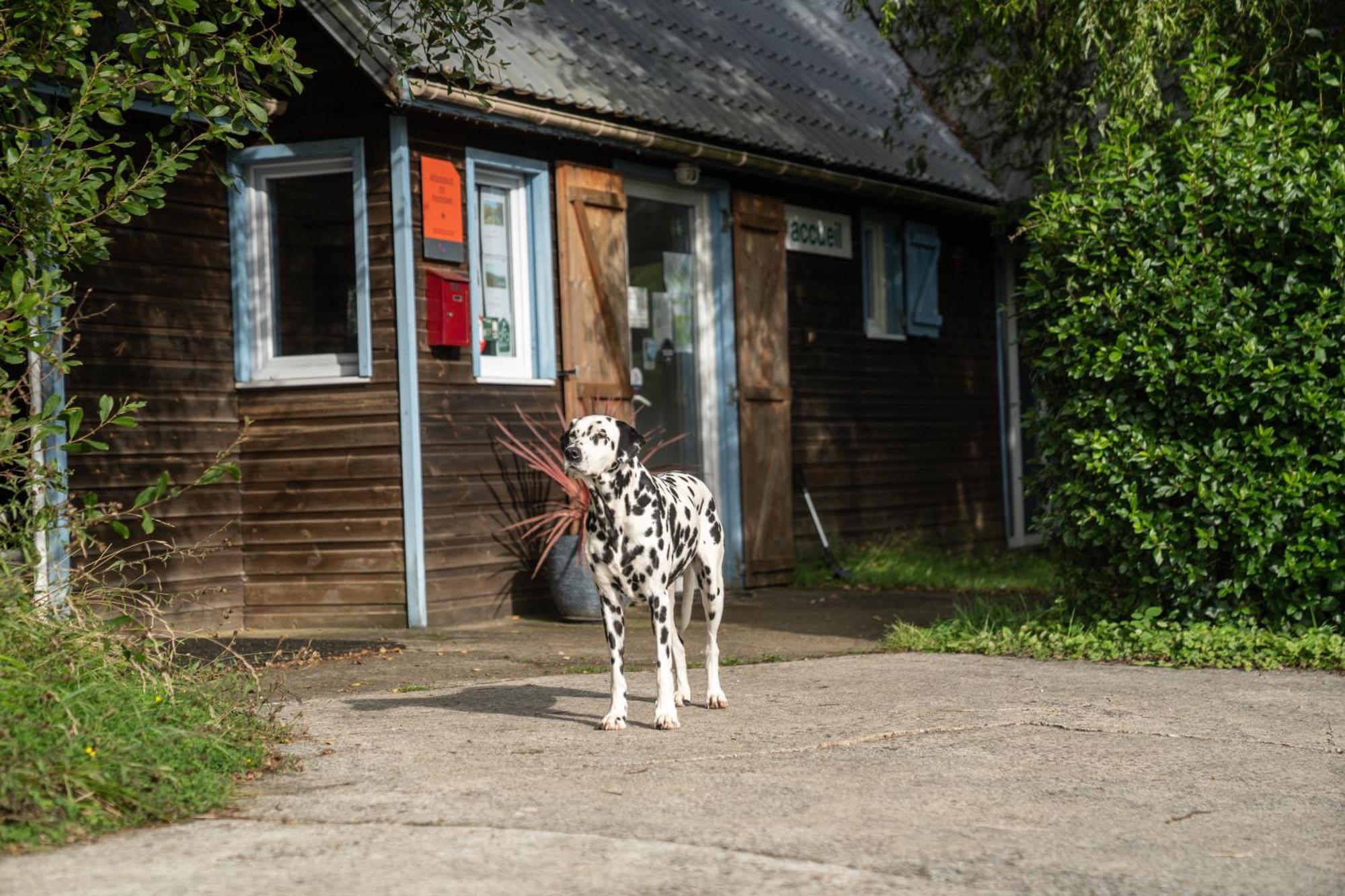 Gites 4,6 Personnes Fecamp Etretat Colleville Luaran gambar